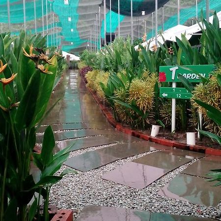 珍南海滩T Garden别墅 外观 照片
