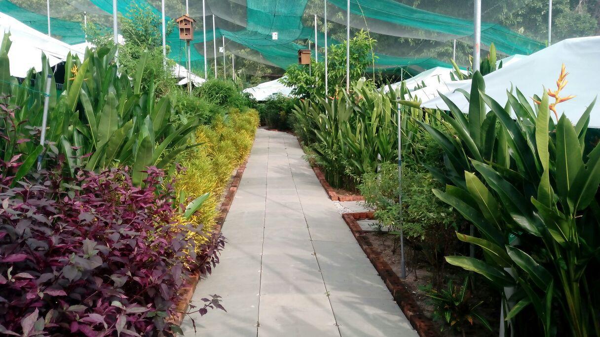 珍南海滩T Garden别墅 外观 照片