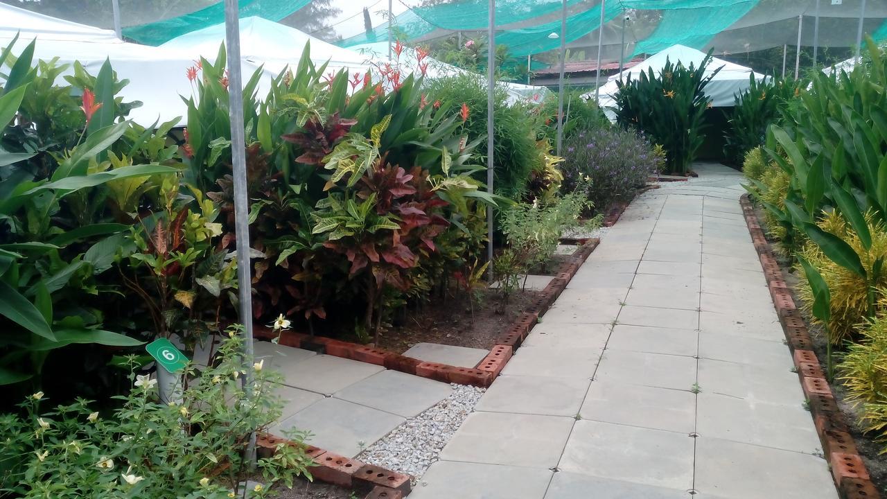 珍南海滩T Garden别墅 外观 照片