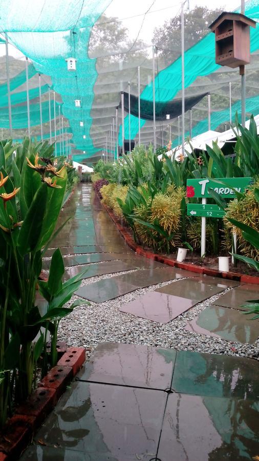 珍南海滩T Garden别墅 外观 照片