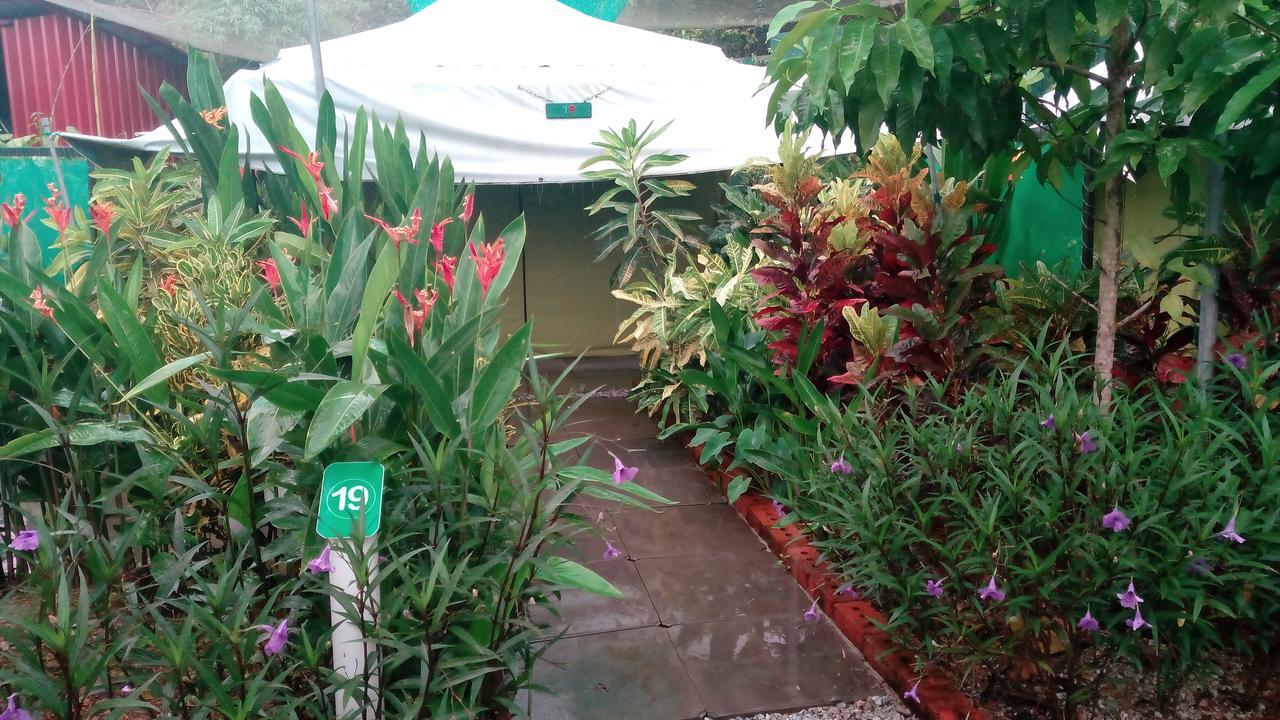 珍南海滩T Garden别墅 外观 照片