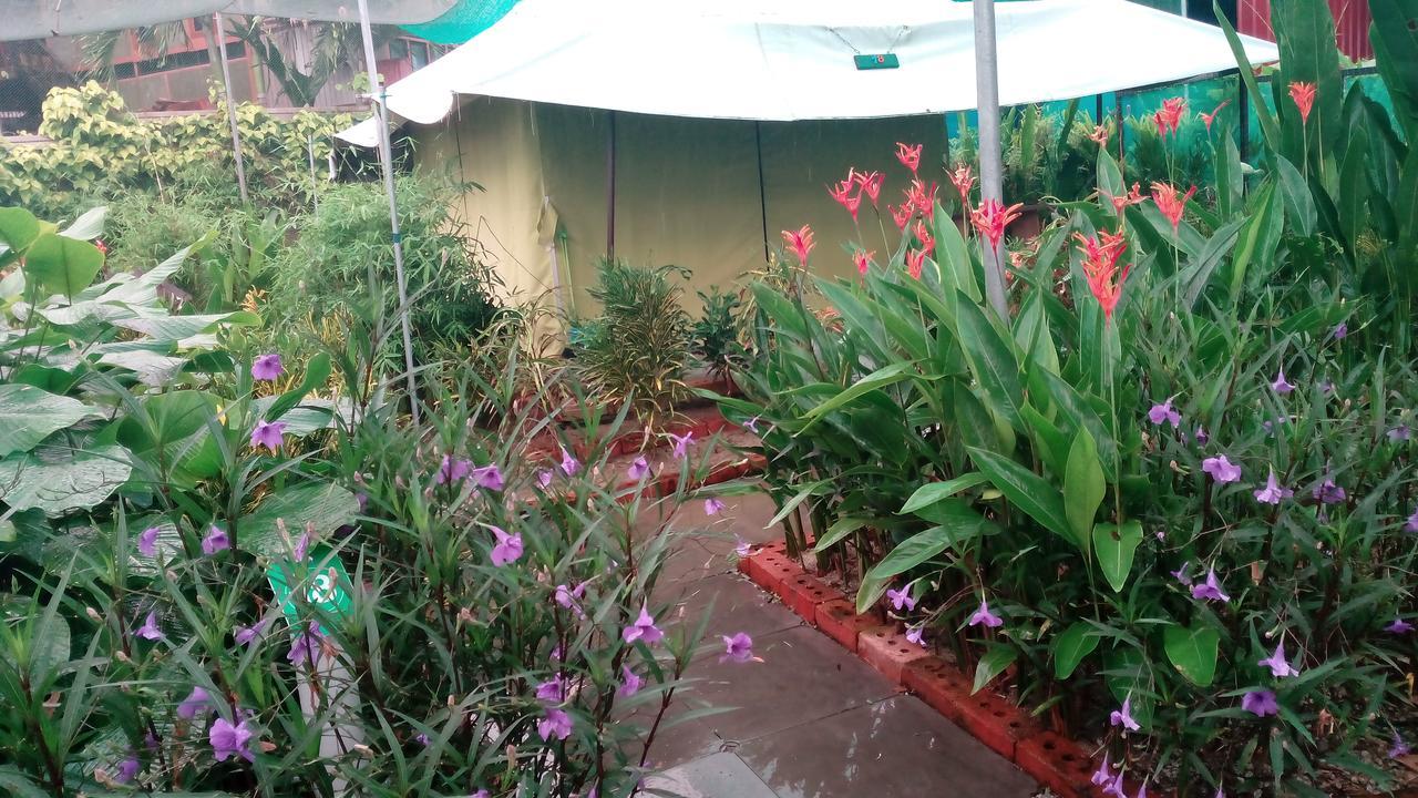 珍南海滩T Garden别墅 外观 照片