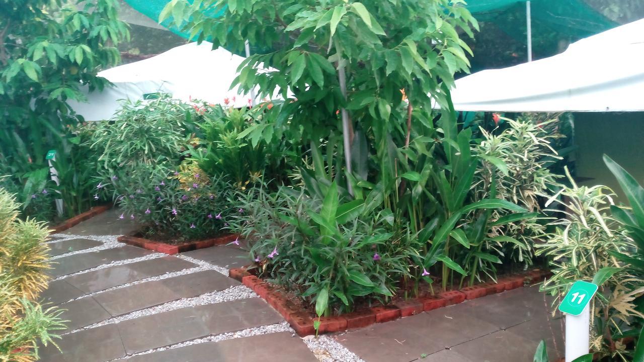 珍南海滩T Garden别墅 外观 照片