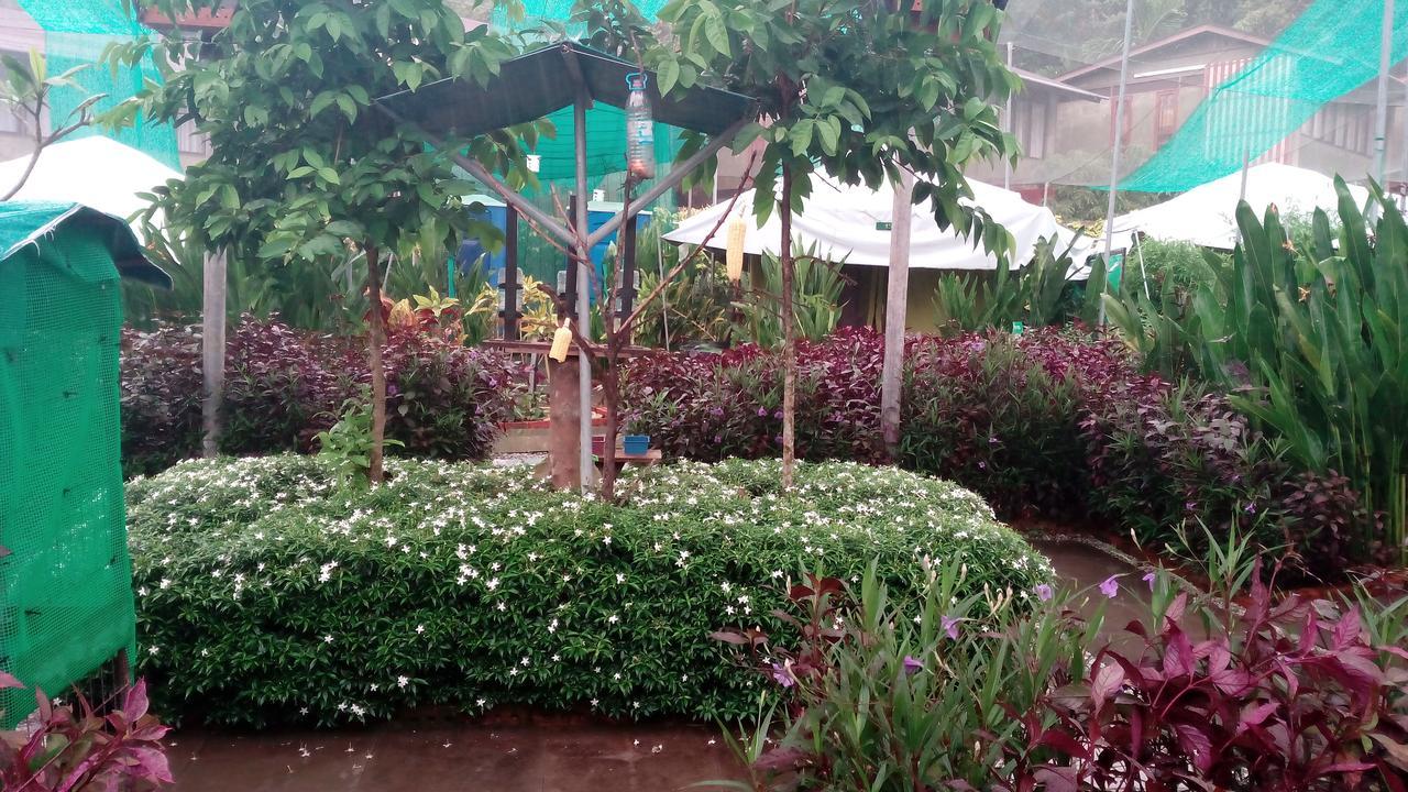 珍南海滩T Garden别墅 外观 照片